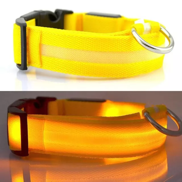 SEHR HELL LED Beleuchtung Hund Haustier Nacht Sicherheit hell blinkendes Nylon Halsband-UK 3