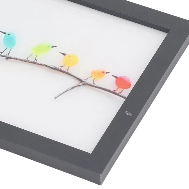 Sea Glass Rainbow Birds Wall Decor Seaglass Colourful Bird Art Photo Frame Sea