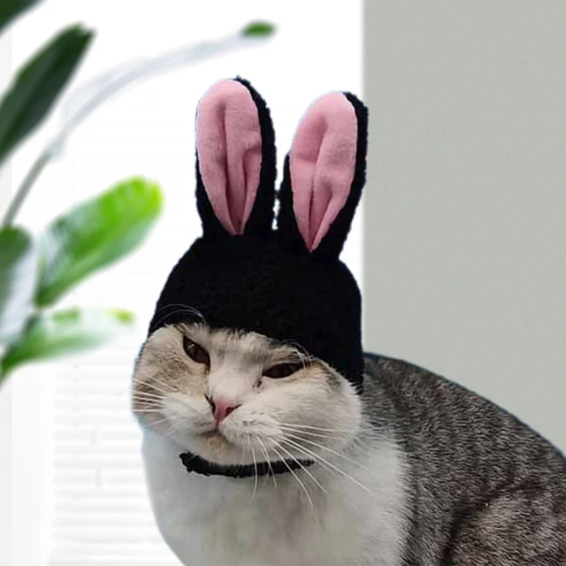 DOG HAT HEADGEAR Rabbit Ears Cat Hat for Pets Kitten Headgear Cosplay ...