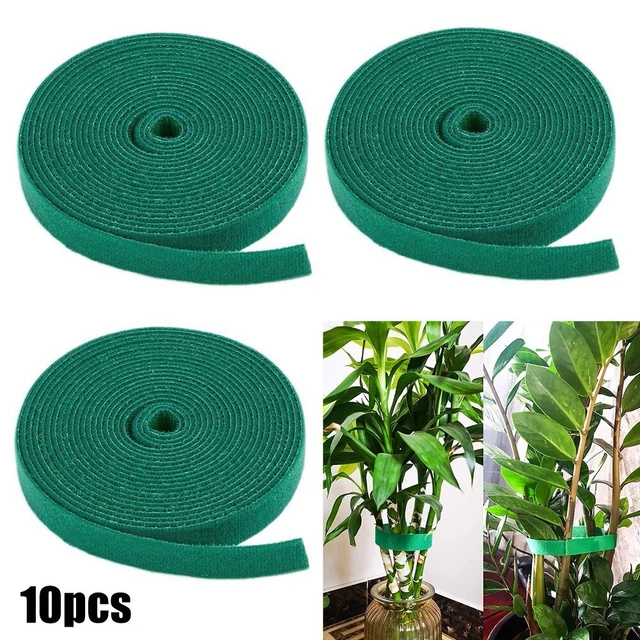 Gartenschnur 10Rolls 5M/Rolle Befestigungsband Rattan-Unterstützung Neu