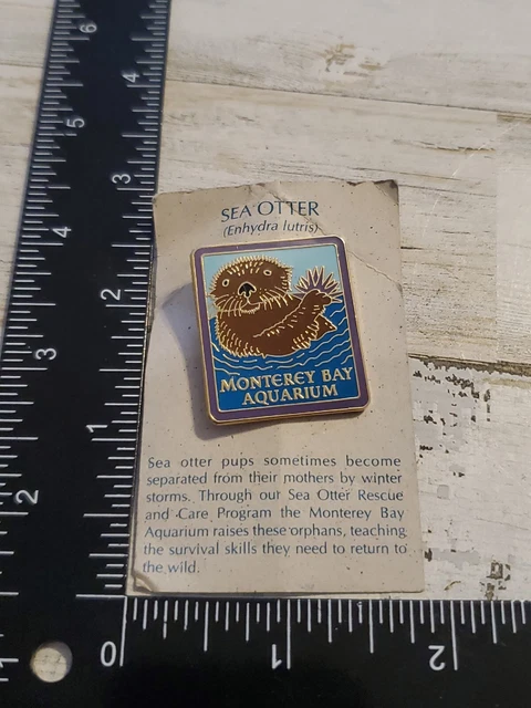 VINTAGE 1993 MONTEREY BAY AQUARIUM OTTER SEA URCHIN LAPEL PIN St
