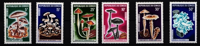 Kongo (Brazzaville) 232-237 postfrisch Pilz #JA638