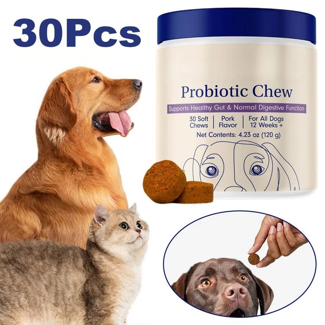 Curated visual reference: Fresh Look at Pet Probiotic Soft Chews For Dogs Promote Healthy Skin Coat