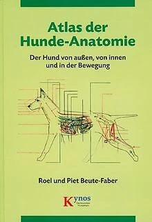 Atlas der Hunde-Anatomie: Der Hund von außen, von i... | Buch | Zustand sehr gut