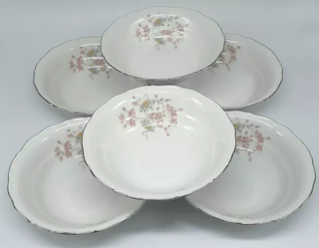 X6 Vintage Haas & Czjzek Czech Republic Porcelain Bowls 16.5cm Floral Design VGC