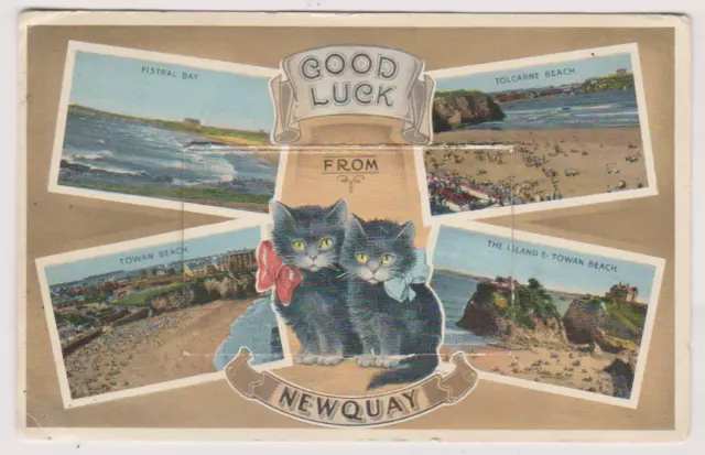 Newquay - Multiview Postcard - Novelty With 12 Local Views - Cornwall - 2 Cats