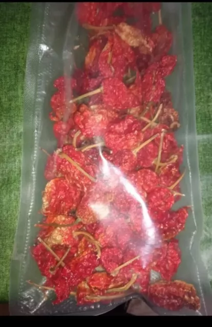 🔥Secco 10 Pezzi Carolina Reaper Red Peperoncino Secco Intero🔥