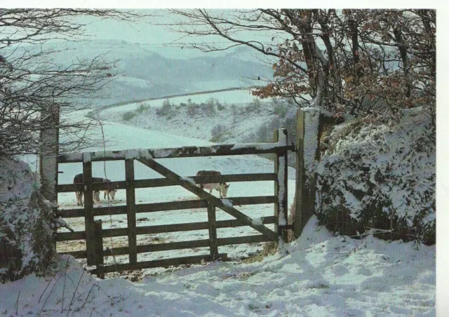 Somerset Postcard - Winter Comes To An Exmoor Hill Farm - Ref 13722A