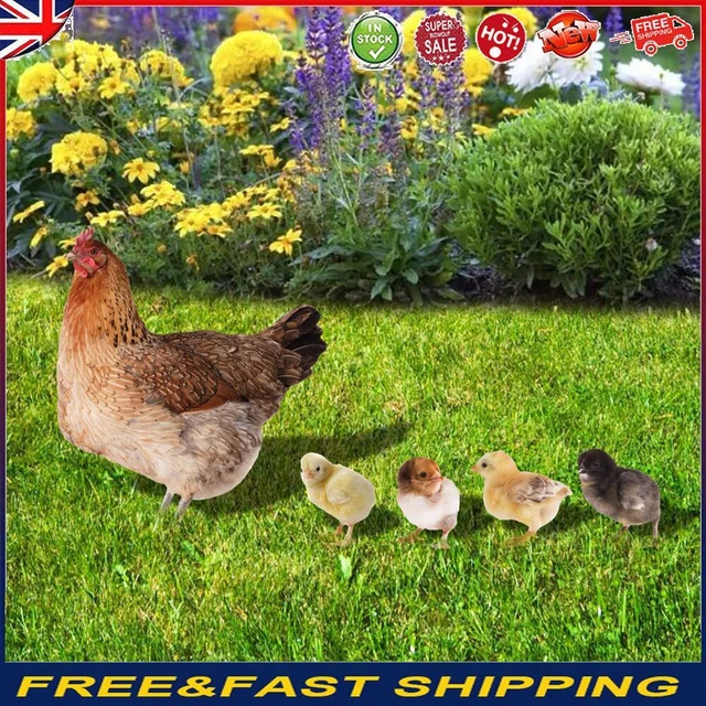 Acrylic Chicken Statue Stakes Ornaments Chicken Garden Stakes for Yard Courtyard