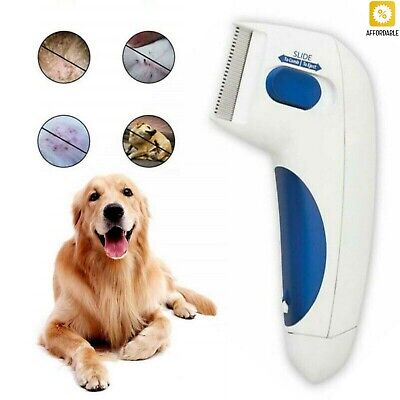 Pet Comb Electric Pet Flea Lice Cleaner Removal Tools For Cat Dog Cleaning Brush