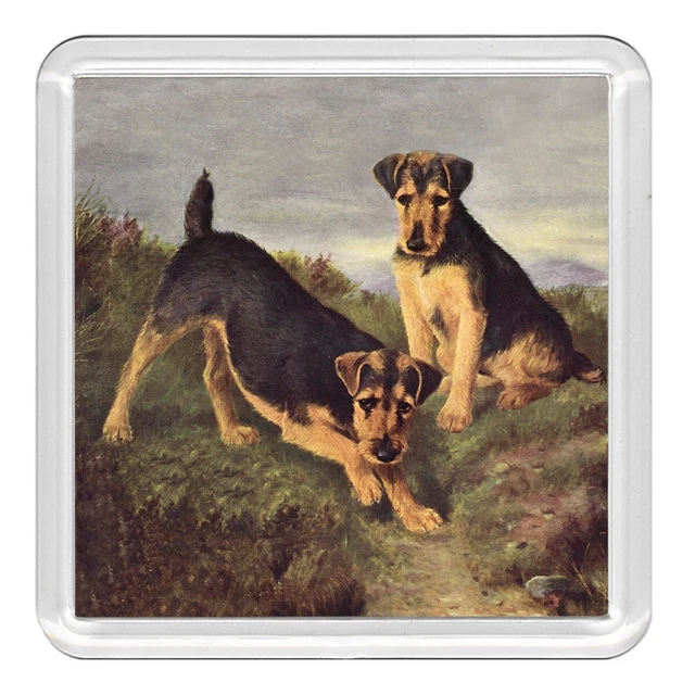 Welsh Terrier Dogs Dog Acrylic Coaster Novelty Drink Cup Mat Great Gift