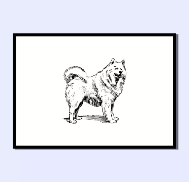 VINTAGE SAMOYED DOG SKETCH Art print chilled relaxation wall prints A4