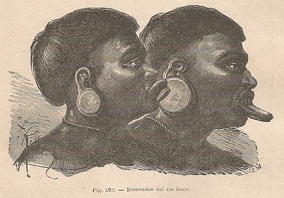Xylographie A1882 Aja Engraving Dijver Impression Antique Du 1895 