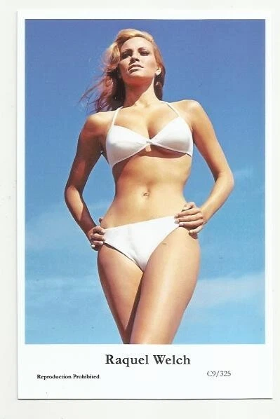 (Bx24) Raquel Welch Photo Postcard (C9/325) Filmstar Pin Up Movie Glamor Girl