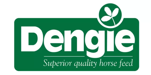 Dengie Hi-Fi Senior 20kg Horse Feed 3