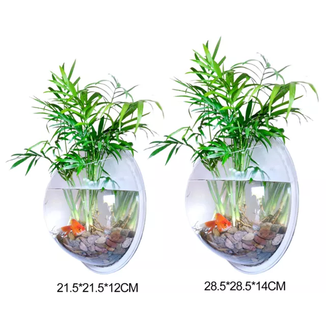 Acrylic Wall Mount Fish Bowl Aquarium Plant Tank Vase Goldfish Hanger Decor