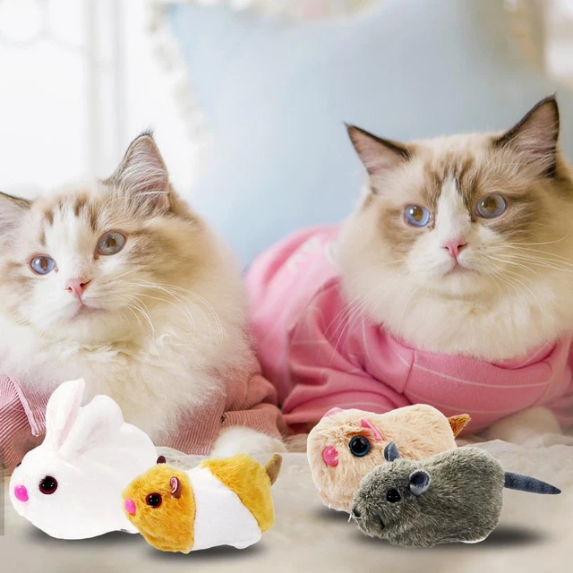 Jouet de chat drôle de direction automatique, jouets en peluche interactifs de