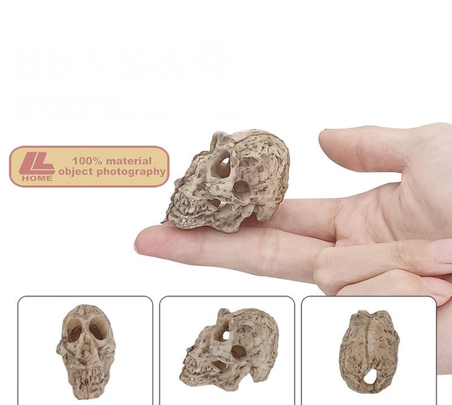 Resin ape skull decor Aquarium Fish Tank Reptile landscape ornaments Decoration