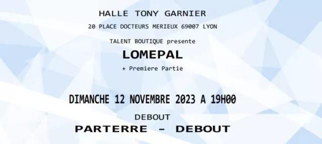 2 billets concert lomepal Lyon 12 novembre 2023