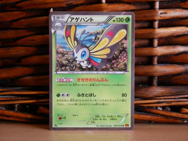 Pokemon BEAUTIFLY 005/078 | HOLO SELTEN | LP Light Play | XY6 Roaring Skies | 2015