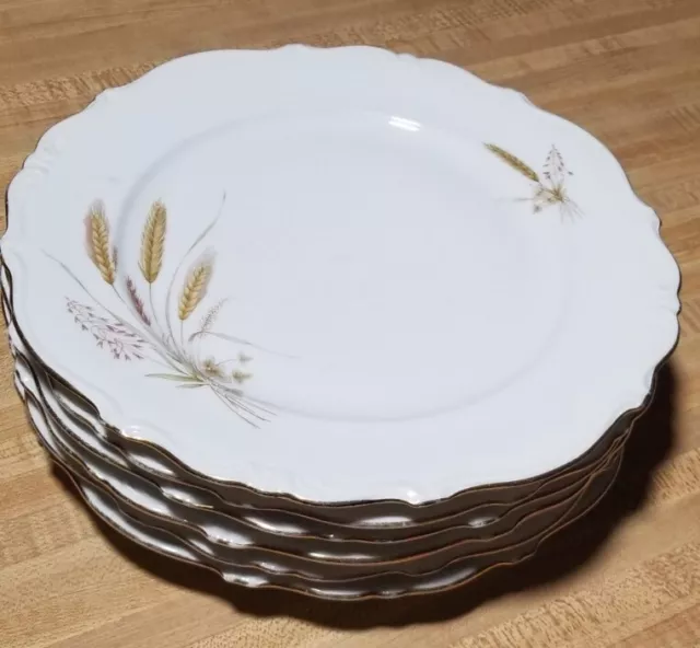 Bavaria Floral Dinner Plates Set Of 6 , Made In Germany