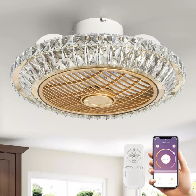 Modern Ceiling Fan with Light,LED Ceiling Fan,With Light App & Remote Control