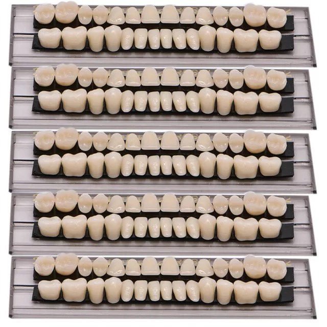 140PCS Denture 23# Shade A2 Acrylic Resin Full Set Teeth Upper Lower Dental NEW