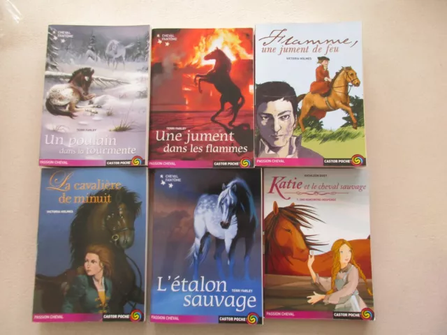 Lot De 6 Livres A Partir 10 Ans Theme Passion Cheval Castor Poche Tbe/Ttbe