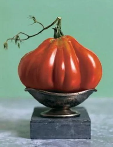 TOMATO CHARLIE CHAPLIN (30 SEEDS) HEIRLOOM - Juicy and very flavorful!!