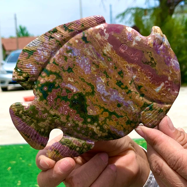 321G  Amazing Natural Ocean Jasper Crystal Carved Fish Jasper Halo Stone