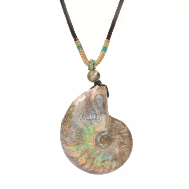 Natural Ammonite Fossil Jewelry Pendant Necklace 16 to 26 inch Adjustable