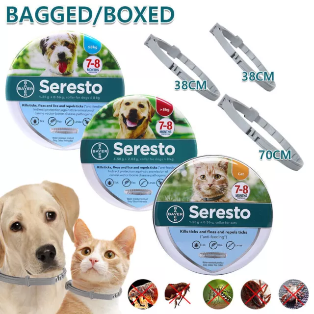 Bayer SERESTO Collare Antiparassitario per GATTO e gatti 36 cm 8 mesi protezione