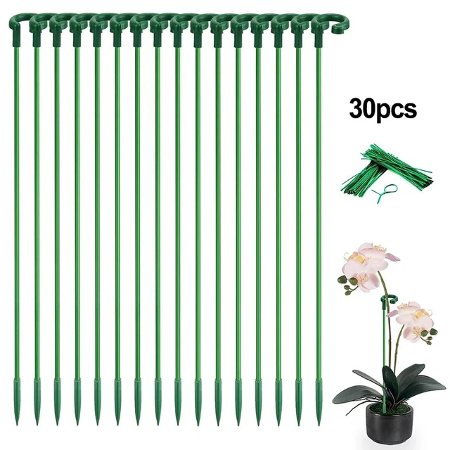 Pali Piante 30 Cm Pali Da Giardino In Bambù 30cm - Supporto