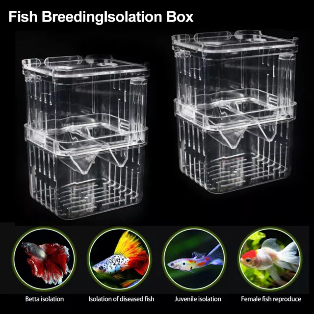 Double-Deck Clear Fish Breeding Isolation Box Aquarium Breeder Fish Tank