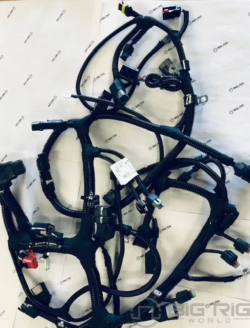Cummins wiring ECM 2891973 15 liter ISX/QSX