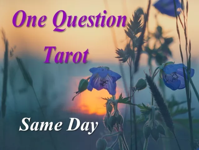 Psychic tarot reading same day one question divination reading.
