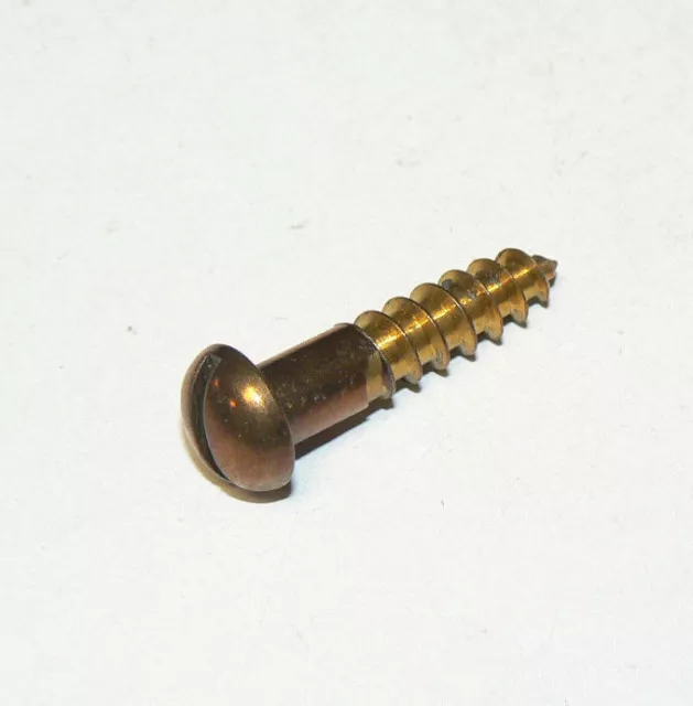 #12 x 1" Solid Brass Wood Screws Round Head Slotted Drive - Lot of 50 pcs.