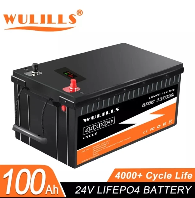 BATTERIA LITIO LIFEPO4 24 Volt 100ah, Grado A, bms integrato, 4000
