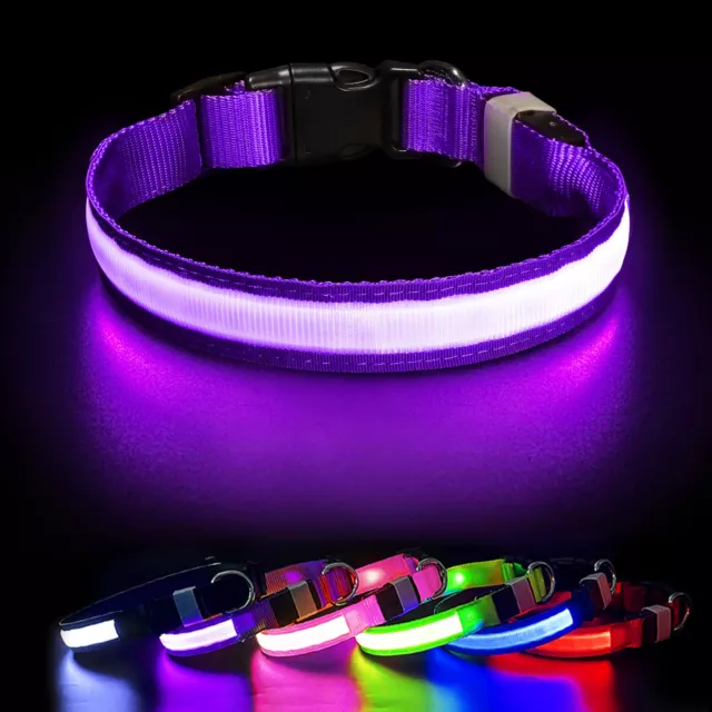 Hundehalsband Leuchthalsband Hund LED USB Aufladbar Akku Halsband Gr. S M L XL '