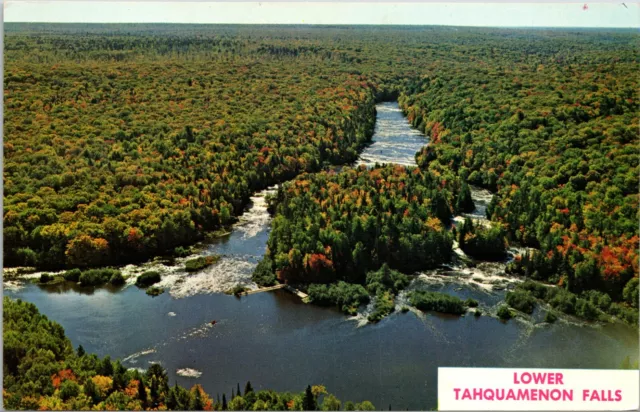 Aerial View of Lower Tahquamenon Falls Chippewa County Michigan Vintage Postcard