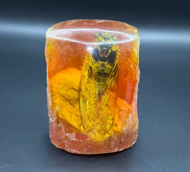 Wonderful Amazing ancient amber with fossilized million year old insect