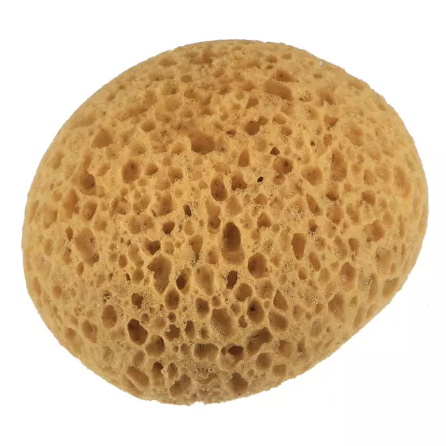 Knockdown Texture Éponge 5,3"x2,6" Faux Éponge Cloison sèche Texturation 2Pcs