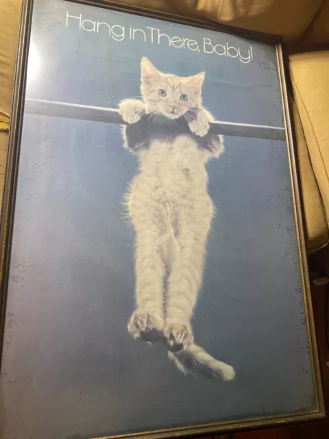 HANG IN THERE CAT GLOSSY POSTER PICTURE PHOTO BANNER PRINT baby funny meme  6541
