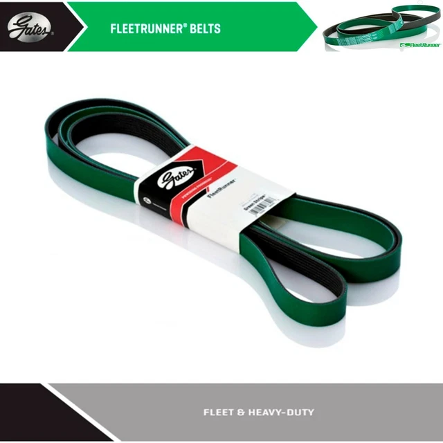 GATES HEAVY DUTY Serpentine Belt 20062010 FREIGHTLINER BUSINESS CLASS