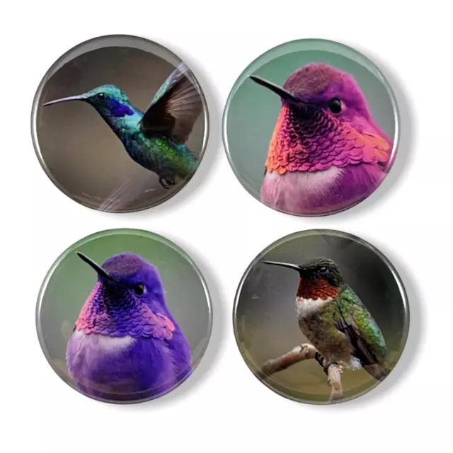 2.25 Inch Magnets Set of 4 Hummingbirds for Fridge, Kitchen, Whiteboard