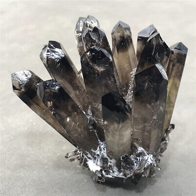 180g Natural Smoky Black Quartz Cluster Mineral Crystal Specimen Reiki .XC2756