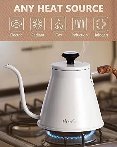 Soulhand Electric Gooseneck Kettle Temperature Control, 0.8L Electric  Kettle for Coffee and Tea, 1200W Rapid Heating, Stainless Steel Electric