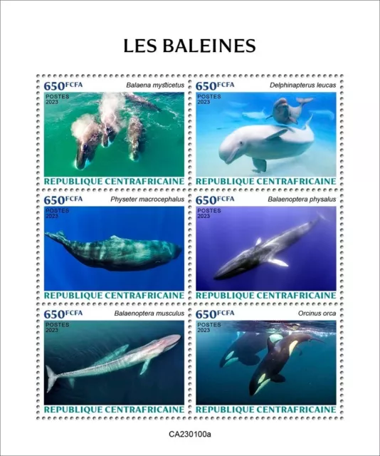 Whales MNH Stamps 2023 Central African Republic M/S