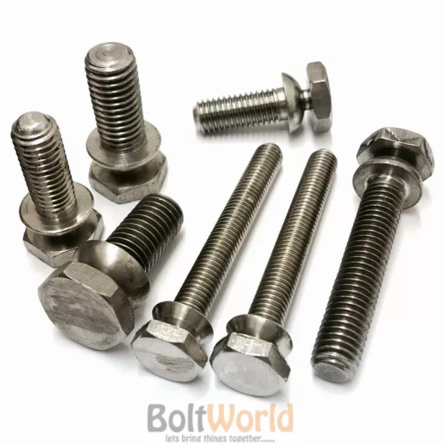 Security Button Head A2 Stainless Steel Hexagon Hex Shear Bolts Anti Vandal Nuts