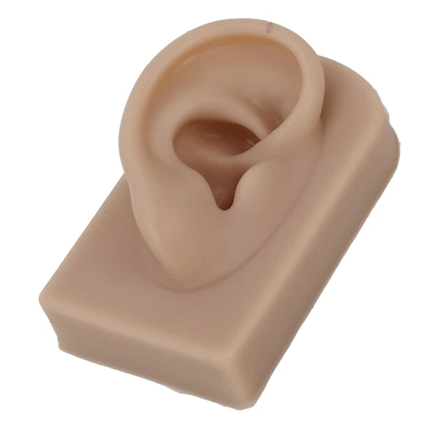 (Marrón) Oreja Humana Modelo de Silicona Suave Flexible Oreja Derecha Reutilizable Modelo GSA